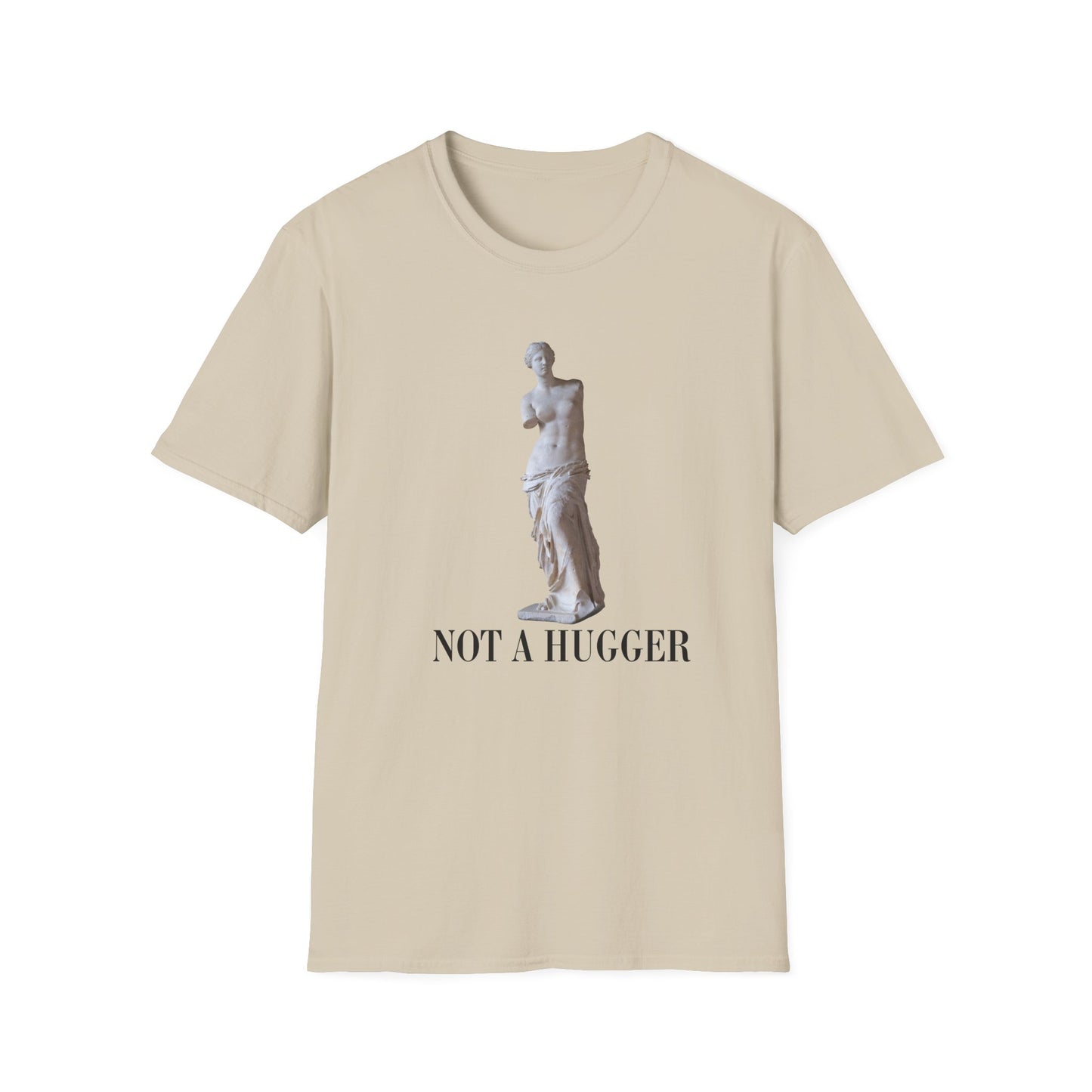 Venus de Milo Shirt, funny art shirt, venus shirt, Greek Statue shirt, gift for artist, Art History shirt, Aesthetic greek statue t-shirt